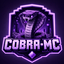 Иконка сервера COBRA